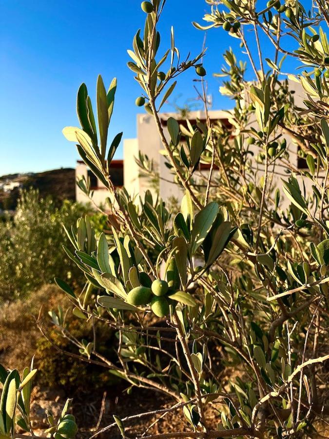 Litois Houses Patmos Sapsila Exterior foto